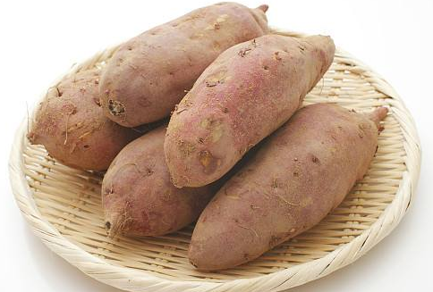红薯是重要的工业原料作物